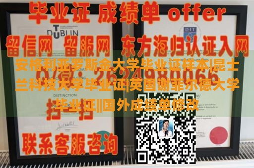 安格利亚罗斯金大学毕业证样本|昆士兰科技大学毕业证|英国谢菲尔德大学毕业证||国外成绩单修改