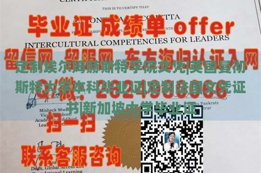 定制埃尔姆赫斯特学院文凭|英国曼彻斯特大学本科毕业证|定制法国文凭证书|新加坡大学毕业证