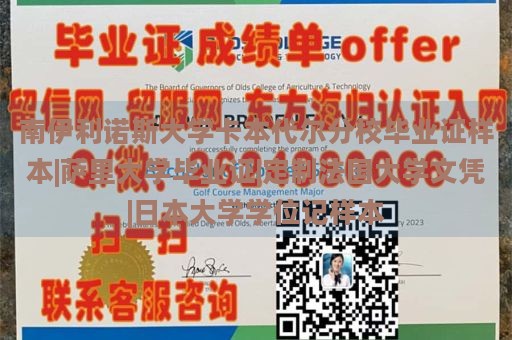 南伊利诺斯大学卡本代尔分校毕业证样本|萨里大学毕业证|定制法国大学文凭|日本大学学位记样本