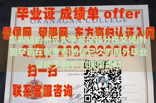 定制纽约州立大学宾汉顿分校文凭|外国学籍查询|期待已久的国外毕业证书终于到手|使馆认证