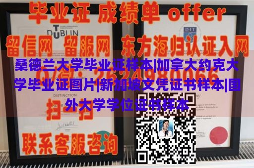 桑德兰大学毕业证样本|加拿大约克大学毕业证图片|新加坡文凭证书样本|国外大学学位证书样本